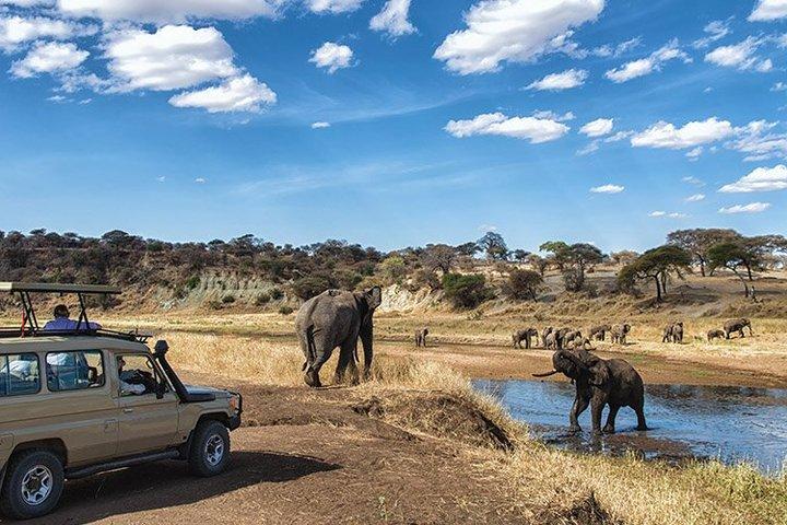 3 Day Masai Mara and Lake Naivasha Boat Riding Midrange Safari