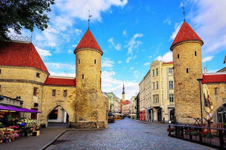 Tallinn Walking tour 1h40 and 21 audio reviews