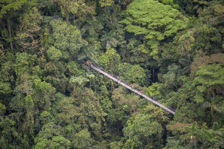 Mistico Hanging Bridges Guided Tour (AM/PM) with Transportation