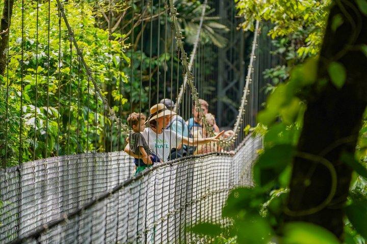 Mistico Hanging Bridges Guided Tour (AM/PM) with Transportation