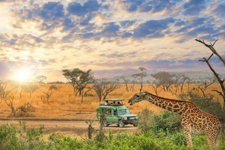 Arusha National Park Full-Day Safari