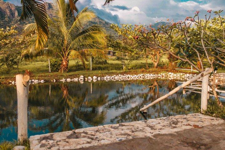 ATV Quad Bike Adventure Tour Inc Hot Springs & Mud Pool (Departs Nadi)