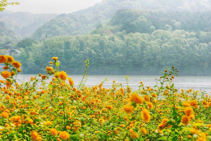 Eobi Valley(Winter), Strawberry, Nami Island & Railbike fr Seoul