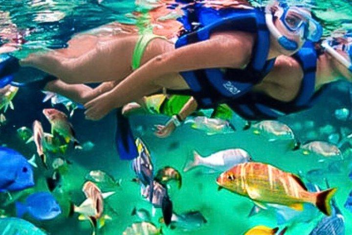 Family Fun-Snorkeling with Lunch Stop from Montego Bay