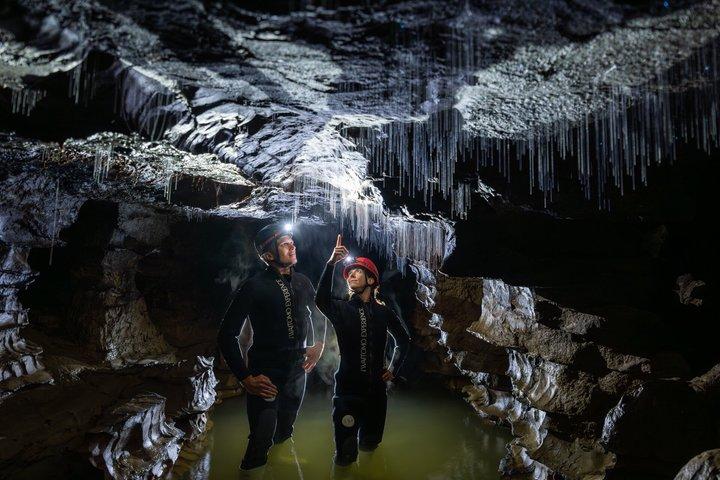 Okohua Glowworm Cave Adventure
