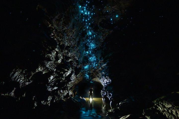 Okohua Glowworm Cave Adventure