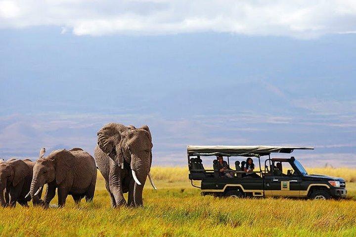 5 Days Roaring Maasai mara - Lake Nakuru - lake Naivasha safari