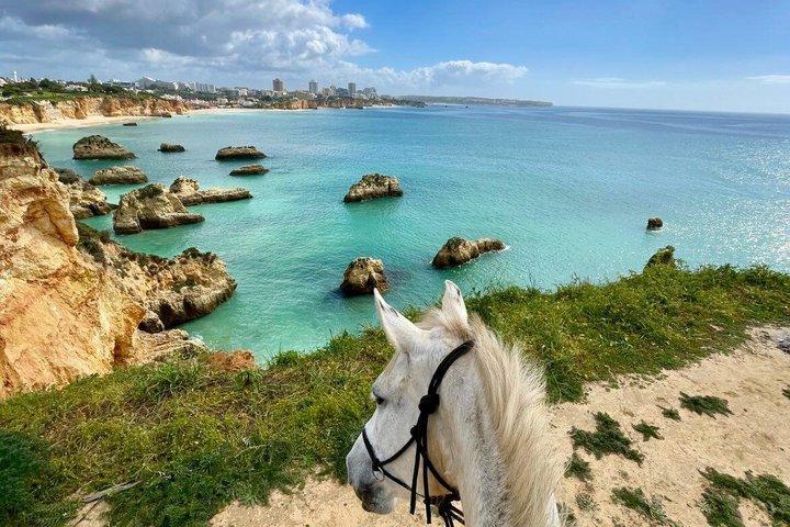 Algarve - Exclusive horseriding in Portimao (no experience required)
