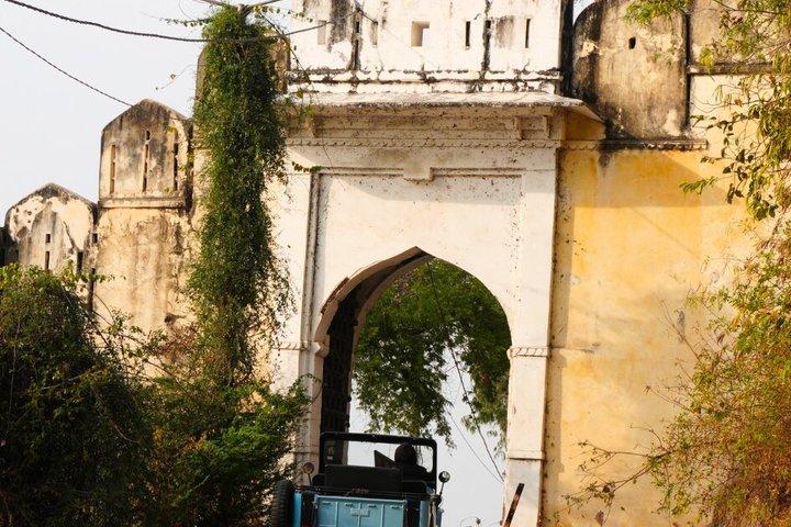 Udaipur: Private Vintage Willys Jeep Experience