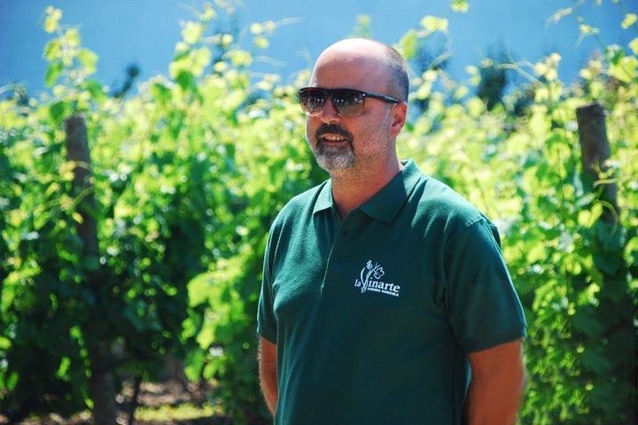 Wine Tasting and Guided Visit to the Vineyard and Cellar in S. Maria Imbaro