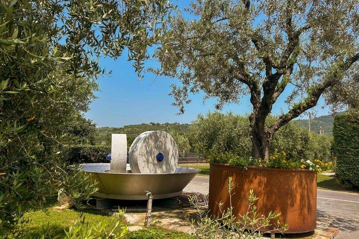 From Abano and Montegrotto: Oil and Wine Tour of the Euganean Hills