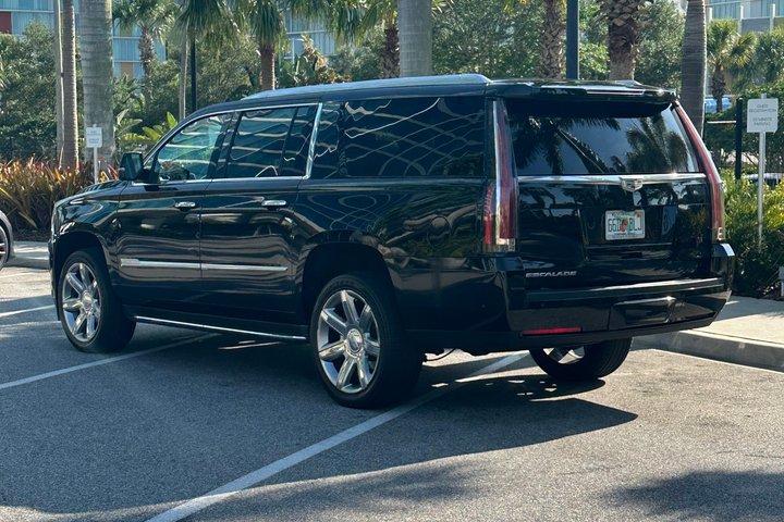 Tour from Port Canaveral to Disney Springs to MCO Airport