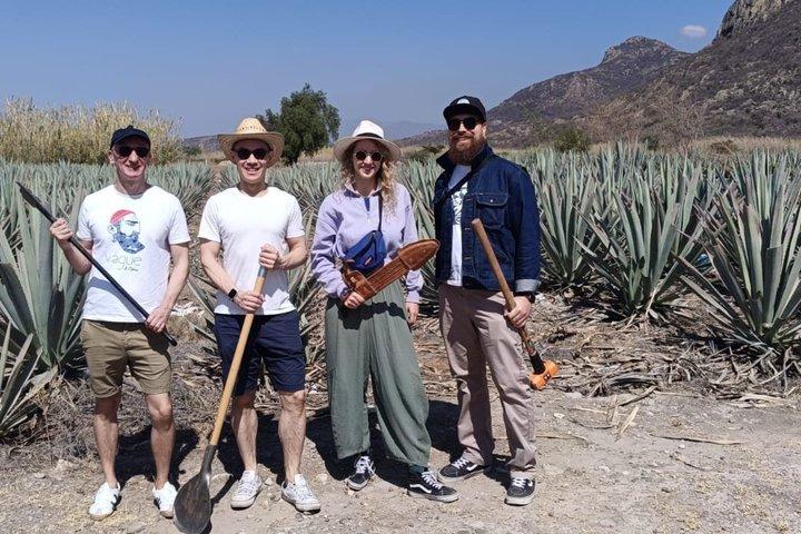 Experience the Mezcal Tour in Oaxaca