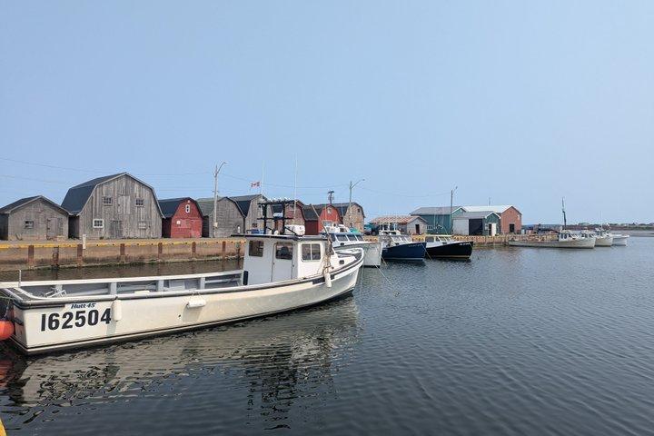 Anne of Green Gables and PEI North Shore Bus Tour