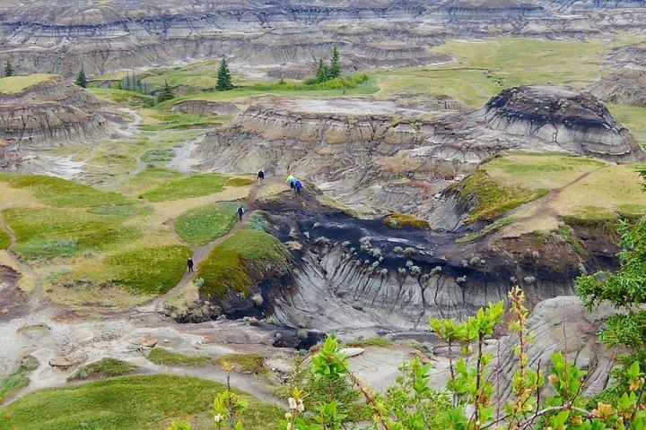 1 Day Tour Drumheller Royal Tyrrell Museum from Calgary