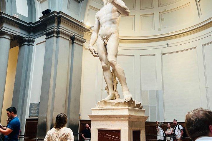 David & Academia Gallery Skip-Line Live Guided Tour Experience