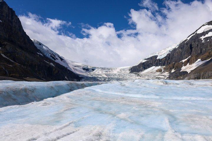 Full-Day Tour Columbia Icefield from Calgary