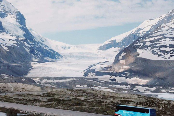 Full-Day Tour Columbia Icefield from Calgary
