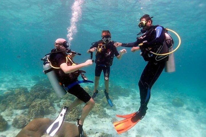 Ras Mohammed & White Island Snorkeling & Diving – Sharm El Sheikh