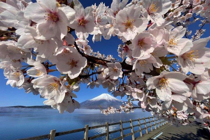 Private Fuji Tour: Lake Yamanakako, Gotemba Outlets & Onsen