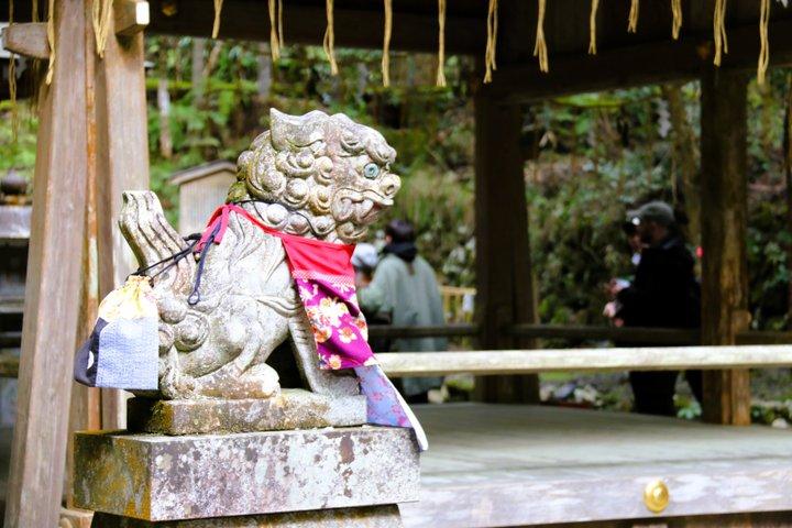 Kyoto Private Hiking Tour: Ancient Trails of Kurama and Kibune