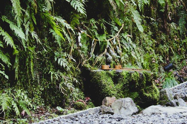 Kyoto Private Hiking Tour: Ancient Trails of Kurama and Kibune