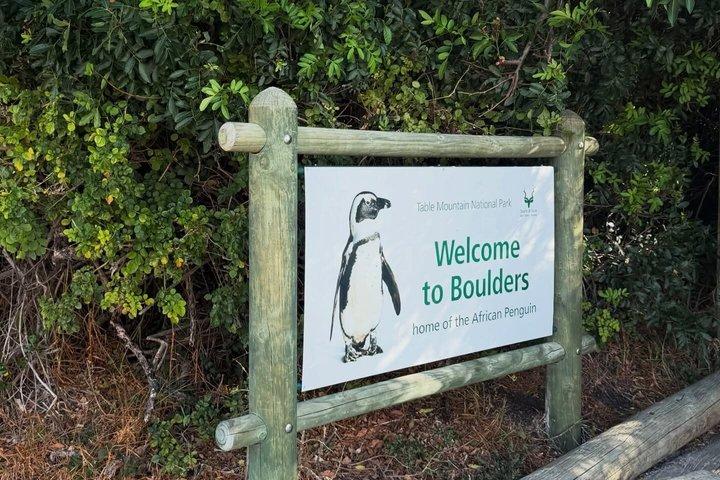 Private Half-Day Boulders Beach Penguins and Simon’s Town Tour