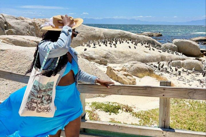 Private Half-Day Boulders Beach Penguins and Simon’s Town Tour