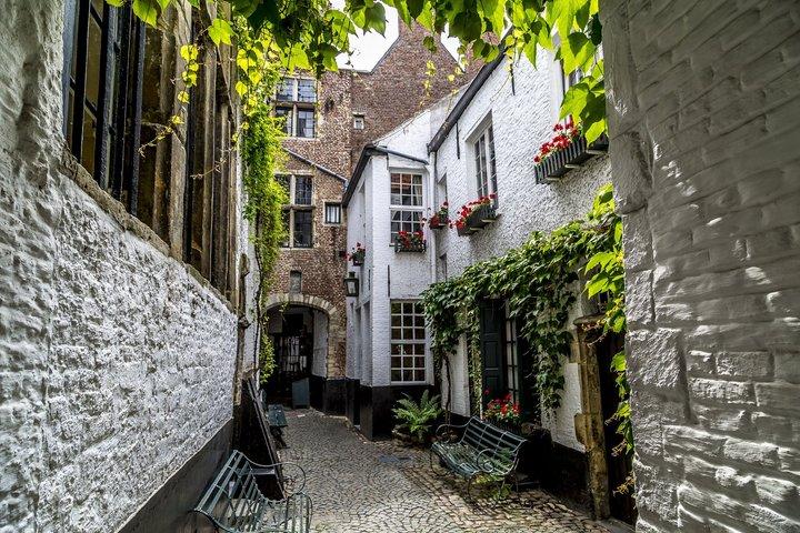 Discover Antwerp with Local Guide