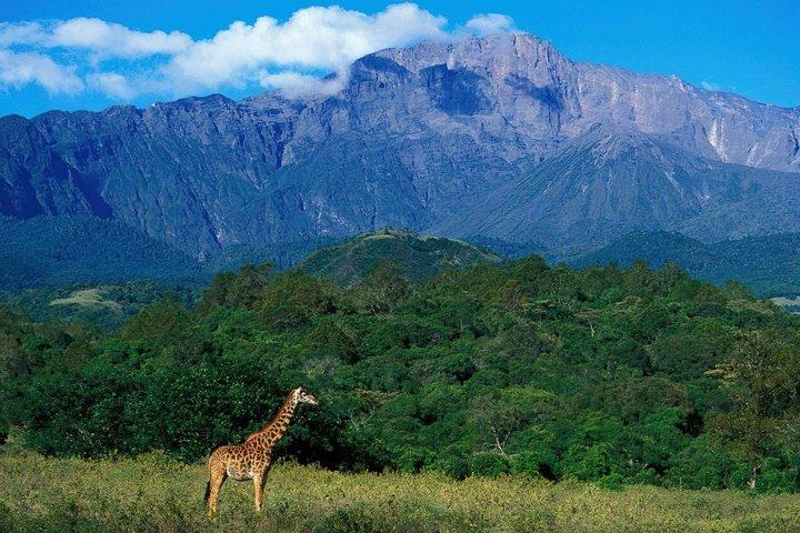 Mount Meru 4 Days Guided Hiking Adventure