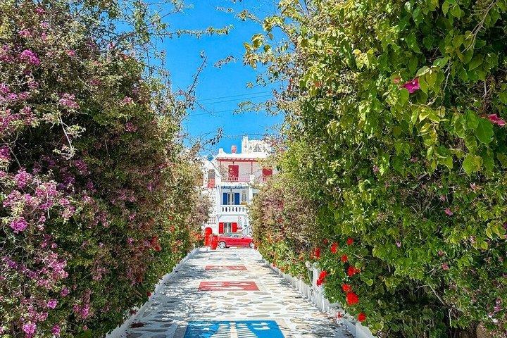 Half Day Private Island Tour with a Local in Mykonos