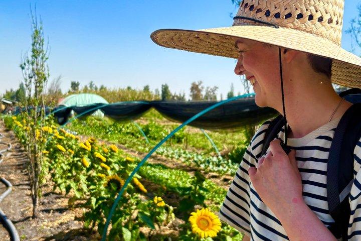 Prehispanic Xochimilco:Sailing Chinampas, axolotls, bird watching