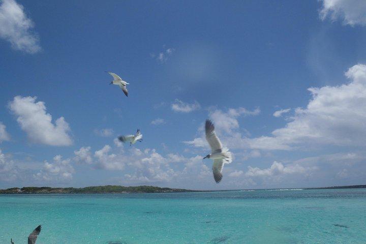 Papeete Tetiaroa Day Trip in Premium Catamaran