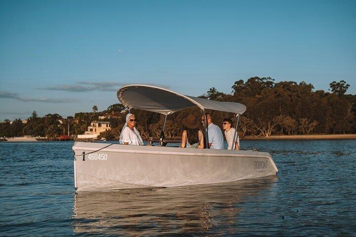 Boat Rental @The Wharf DC No License Required Be your own Captain
