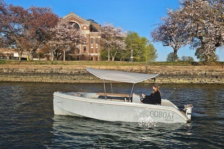 Boat Rental @The Wharf DC No License Required Be your own Captain