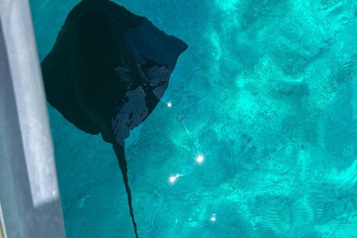 Sarandë: Hidden Coast Explorer – Small-Group Speedboat Tour