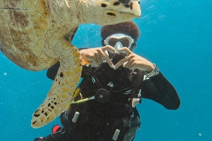 Red Sea Full Day Intro Diving and Snorkeling Trip