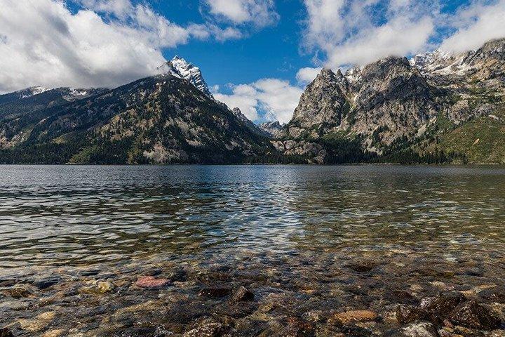 Sunset Wildlife Adventure in Grand Teton National Park