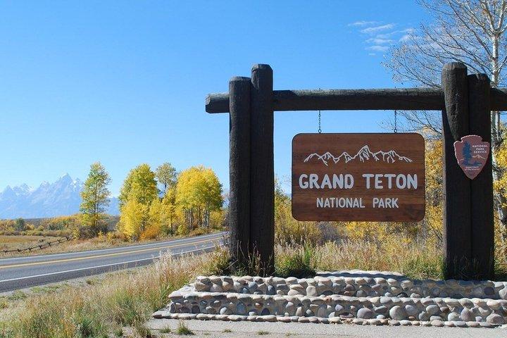 Sunset Wildlife Adventure in Grand Teton National Park