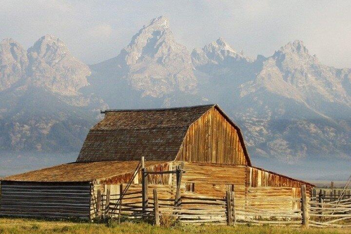 Sunset Wildlife Adventure in Grand Teton National Park