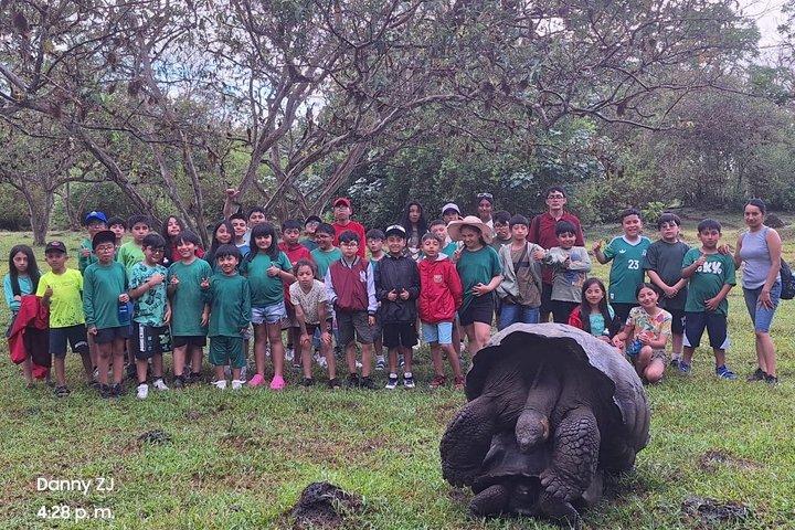 Santa Cruz Craters and Tunnels Tour of Lava and Turtles
