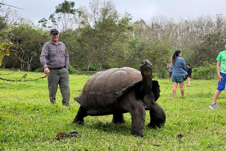 Santa Cruz Craters and Tunnels Tour of Lava and Turtles
