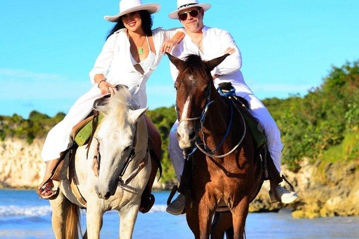 Beach Sunset on Horse Riding in Punta Cana(Private Option)