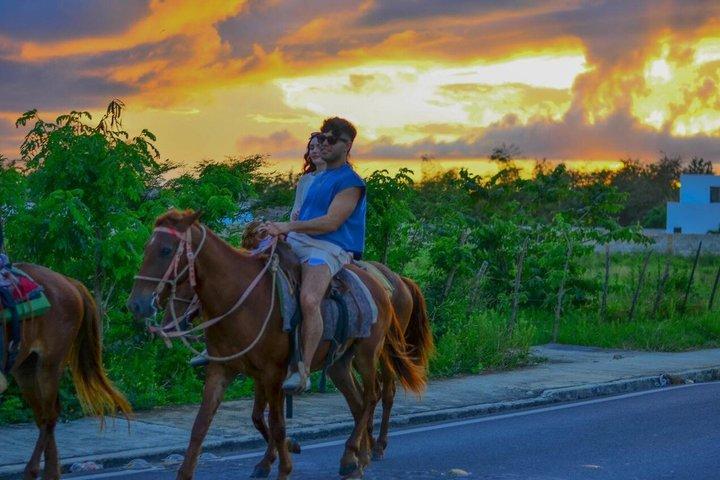 Beach Sunset on Horse Riding in Punta Cana(Private Option)