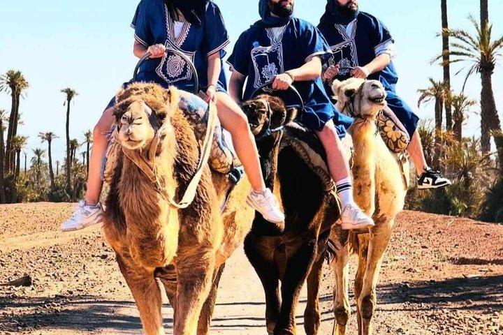 Camel Adventure in the Palmerie Desert Marrakesh