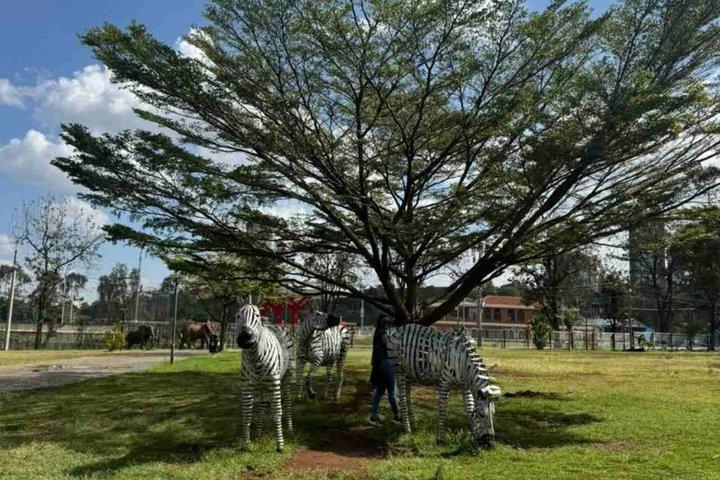 Nairobi Heritage Tour with Key Landmarks