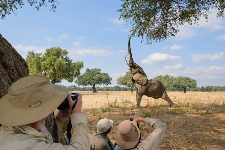 4 Day Lake Naivasha and Masai Mara Wildlife Luxury Safari