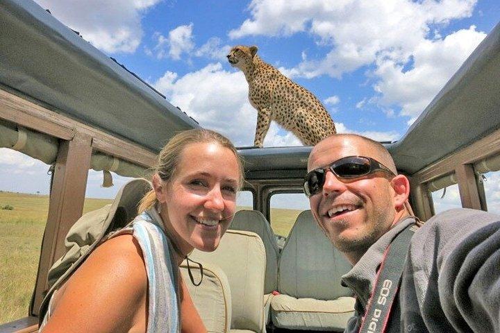6 Day Samburu Lake Naivasha and Masai Mara Safari from Nairobi