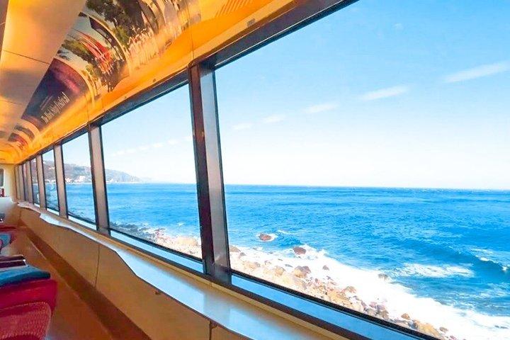 Izu Small Group: Ocean-View Train, Mt. Omuro & Coast