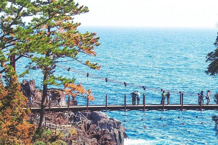Izu Small Group: Ocean-View Train, Mt. Omuro & Coast